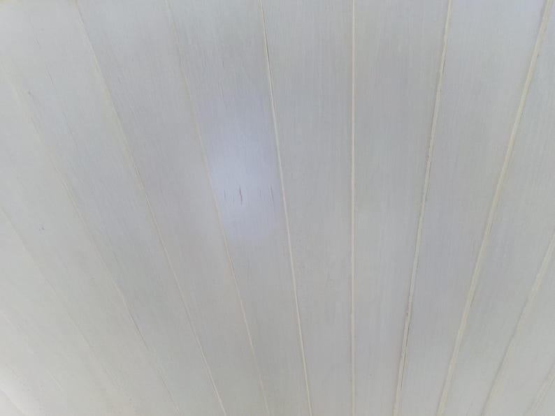May include: Close-up of a light-colored, wooden surface with a fan-like pattern. The wood grain is visible, and the planks are arranged in a radial design, creating a textured, neutral background.