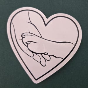 Mano nella zampa