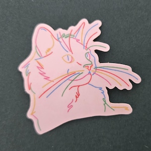 Colorful Cat