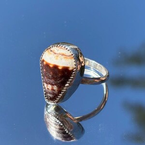 May include: A silver ring featuring a teardrop-shaped seashell with brown and cream stripes. The ring's band is a simple, polished silver, and the shell is set in a silver bezel.