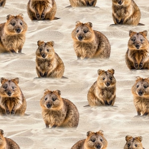 Puede incluir: Un patrón sin costuras que presenta múltiples quokkas marrones y blancos, un pequeño marsupial nativo de la isla Rottnest, Australia. Los quokkas se representan en una variedad de poses, algunos mirando directamente a la cámara y otros mirando hacia otro lado. El fondo es de color beige claro, que se asemeja a la arena.