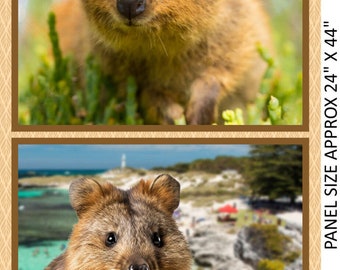 Island Adventure Quokka Panel - 24 Inch ( 70 cm)