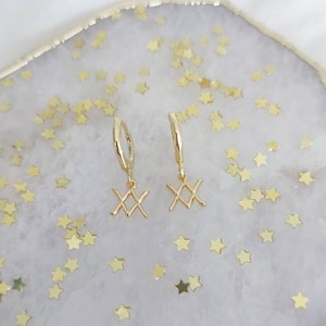 Sternzeichen Schmuck. Horoskop Symbol Creolen, Gold Creolen, Huggie Hoop, kleine Gold Creolen, Horoskop Sternzeichen