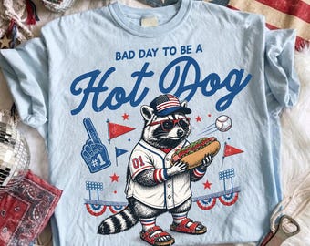 Brutta giornata per essere un hot dog PNG, Baseball Raccoon Download digitale