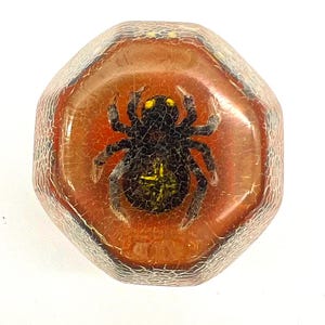 May include: An octagonal, amber-colored resin bottle stopper featuring a black spider with yellow accents. The spider is centered within the stopper, creating a unique decorative element. The stopper is designed to fit standard bottle openings.