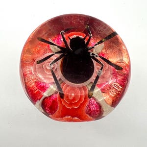 May include: A round, decorative object with a black spider encased in clear resin. The resin has a red and pink floral design. The spider's legs are visible, and the object is set against a white background.