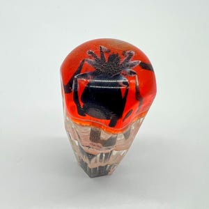 May include: A decorative glass bottle stopper with a Halloween theme. The top is a vibrant orange with a black spider design. The bottom has a textured, multi-toned brown and beige pattern.