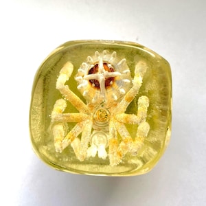 May include: A clear, rectangular resin paperweight with a detailed, steampunk-style spider design. The spider has intricate mechanical legs and a gear-like body, encased in a yellow-tinted resin. The design is centered within the paperweight.