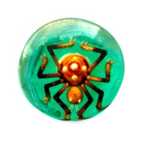 May include: A round, clear glass paperweight with a detailed spider design. The spider has a brown body with white spots and black legs, set against a teal green background. The paperweight is on a white background.