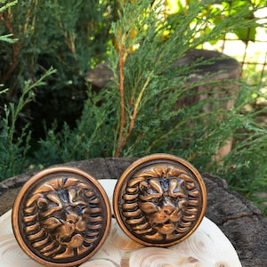 Może przedstawiać: Dwa okrągłe, brązowe gałki drzwiowe z motywami lwów. Gałki leżą na stosie drewnianych krążków.