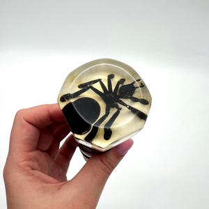 Puede incluir: Un tapón de botella decorativo con una araña negra encapsulada en resina transparente. El tapón tiene una forma geométrica y una base marrón oscuro. La araña es una silueta detallada sobre un fondo claro.