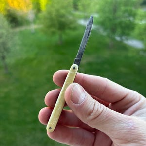 Puede incluir: Una pequeña navaja plegable con una sola hoja de metal delgada y un mango de color crema con textura marmolada. El mango está asegurado con dos pequeños remaches oscuros y la hoja está parcialmente extendida desde el marco del mango.