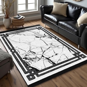 May include: Black and white area rug with a marble pattern and a black geometric border. The rug is on a hardwood floor in a living room setting.
