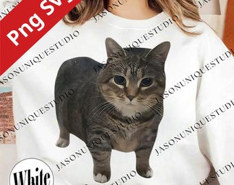 Oiia Oiia katt PNG Svg för Circut, rolig snurrande kattmeme-grafik, fånig kattdesign, viral kattmeme-konst, födelsedagspresentkattillustration