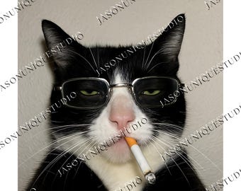cat smoking a cigarette meme Smoking Cat Meme PNG, Funny Cigarette Kitty Digital Design, Gen Z Humor  Graphic, Stupid Brainrot Art, Cool Cat Lover Sublimation File