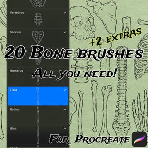 Knochenstempel Brush Pack für Procreate auf dem iPad. Verschiedene Knochen perfekt für Poster, Webtoons, Tattoo Designs etc.