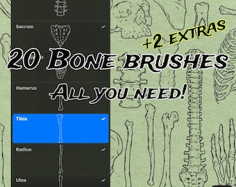 Bone Stamp Brush Pack: Anatomy Art for Procreate (iPad)