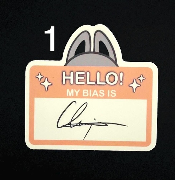 Stray Kids K Pop Skzoo Autograph Bias Vinyl Stickers Gifts for