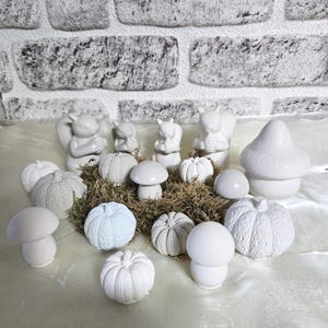 May include: A collection of white ceramic figurines, including pumpkins, mushrooms, and squirrels, arranged on a bed of green moss. The pumpkins and mushrooms have textured surfaces. A light blue pumpkin is also present.