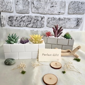 Op de afbeelding: Opstelling van kleurrijke kunstmatige vetplanten in witte en grijze rechthoekige plantenbakken. De plantenbakken zijn gevuld met witte kiezels. Er is ook een kleine kaart met de tekst "Perfect Gift!".