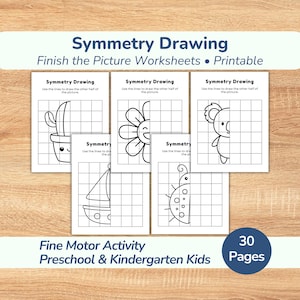 May include: A set of printable symmetry drawing worksheets featuring black and white line art of a cactus, flower, koala, sailboat, and ladybug on grids. The text reads Symmetry Drawing, Finish the Picture Worksheets, and Fine Motor Activity.