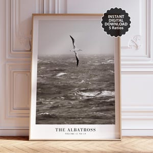 May include: Black and white framed print featuring an albatross in flight over a stormy sea. The print includes the text "THE ALBATROSS VOLUME 11 NO 19" at the bottom. The image is a digital download with 5 ratios.