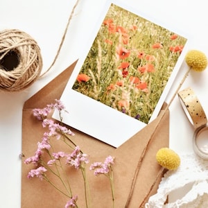 Cartolina, cartolina fotografica, biglietto d'auguri, papaveri, estate, campo, biglietto di design, stampa artistica, cancelleria