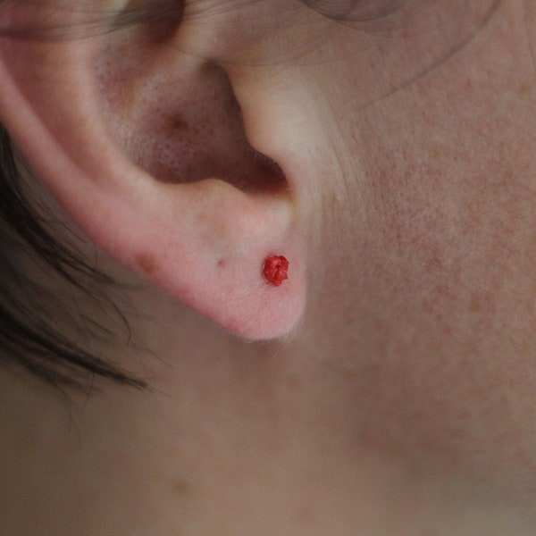 Red Coral Earrings, Sterling Silver Post, Coral Reef Red Stud Earrings