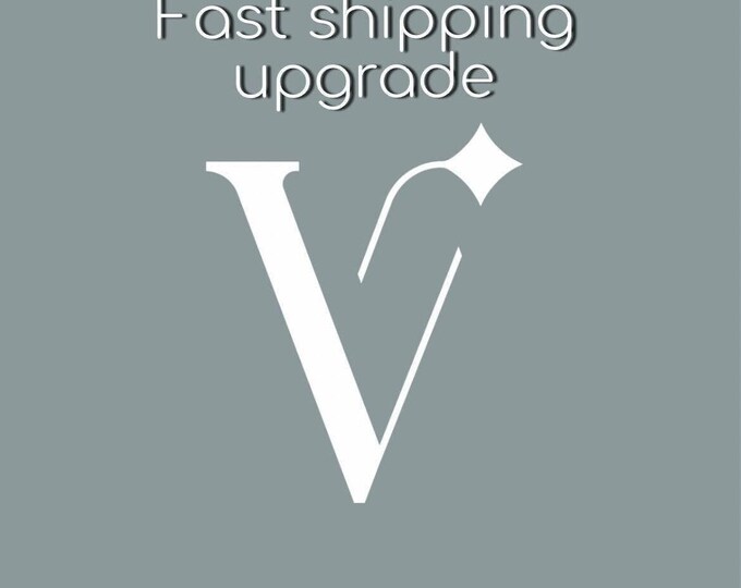 Express Shipping Upgrade, Fast Worldwide Shipping with DHL, DDP (Delivery Duty Paid)