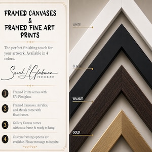 The image is a collage of four framed art prints, each with a different color frame, showcasing the perfect finishing touch for artwork.