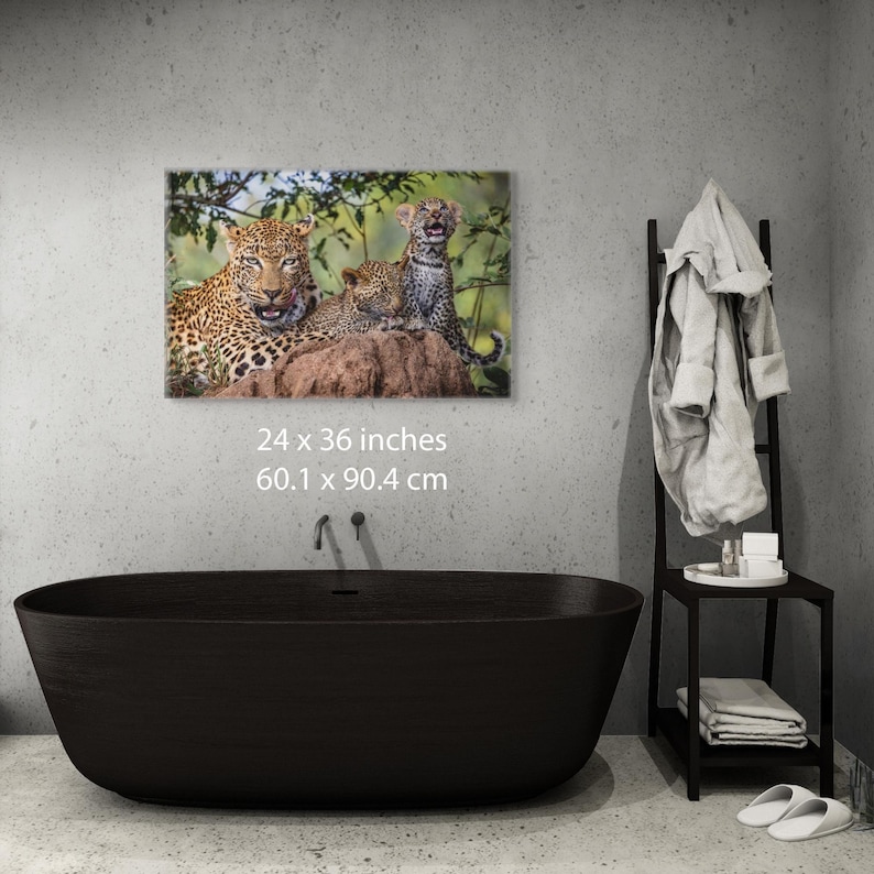 Fotografía familiar de leopardo / Arte mural de safari africano / Lienzo listo para colgar / Varios tamaños: 8x10-24x36 imagen 3