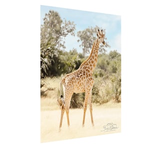 Giraffe Artwork Wall Decor African Safari Animal Print with Acacia Tree Landscape Home Decoration