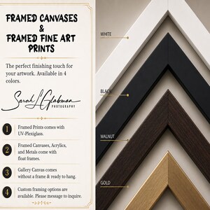 The image is a collage of four framed art prints, each with a different color frame, showcasing the perfect finishing touch for artwork.