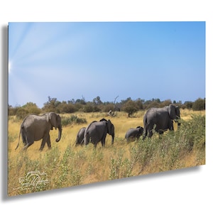 Elephant Family Botswana Africa Wall Art Print, Wildlife Artwork Home Decor, Safari Animal Gift, Nature Lover Poster, Elephant Herd Artwork