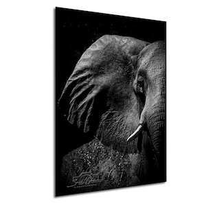Elephant Wall Art Contemporary Abstract Painting Modern Home Decor Wildlife Nursery Gift