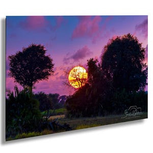 Lienzo fotográfico con escena de safari al atardecer en Botsuana / Decoración de pared de paisaje africano / 8x10-24x36 pulgadas