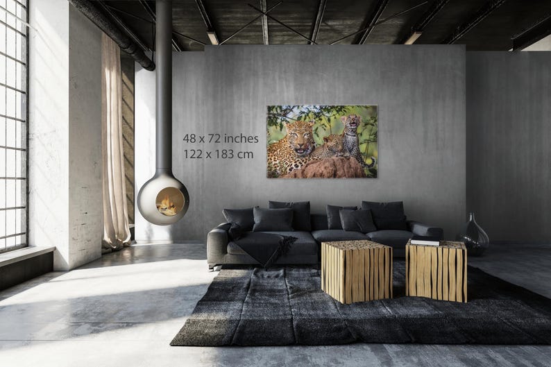 Fotografía familiar de leopardo / Arte mural de safari africano / Lienzo listo para colgar / Varios tamaños: 8x10-24x36 imagen 4