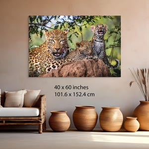 Fotografía familiar de leopardo / Arte mural de safari africano / Lienzo listo para colgar / Varios tamaños: 8x10-24x36 imagen 5