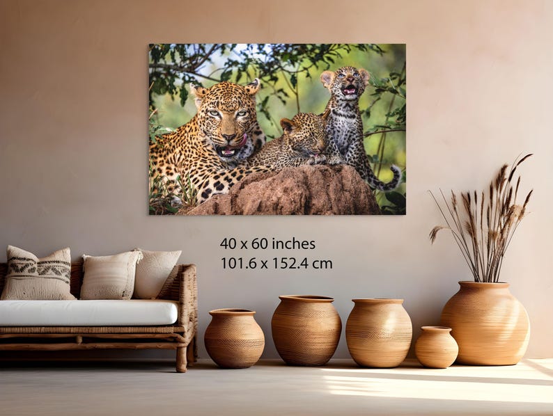 Fotografía familiar de leopardo / Arte mural de safari africano / Lienzo listo para colgar / Varios tamaños: 8x10-24x36 imagen 5