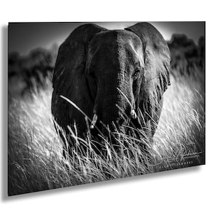 Elephant Artwork Black and White Safari Artwork, African Wildlife Print, Minimalist Wall Decor, Nature Illustration, Modern Home Art Gift