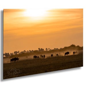 Botswana Wildebeest Sunset Photo: African Wildlife Art Print