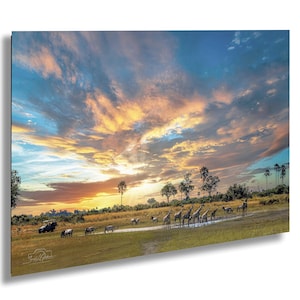 Okavango Delta Wildtiere Druck: Botswana Safari Fotografie