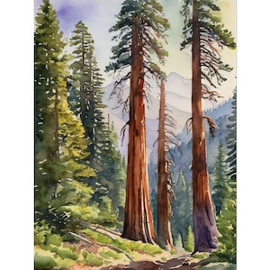 Sequoia National Park Watercolor Painting, Pine & Redwood Forest Art Print, California Landscape Poster, Woodland Nature Wall Art Decor