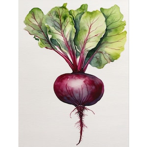 Beet Painting, Watercolor Art Print, Vegetable Wall Art, Kitchen Decor, Farmhouse Wall Decor, Modern Vegetable Poster, Beetroot Art Print