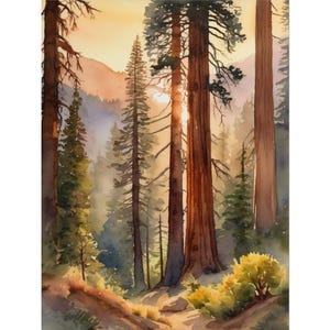 Sequoia National Park Watercolor Painting, Pine & Redwood Forest Art Print, California Landscape Poster, Woodland Nature Wall Art Decor