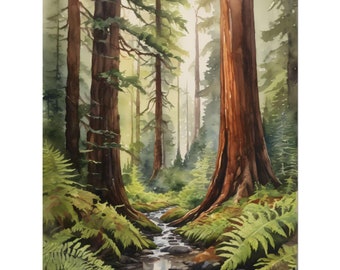 May include: A watercolor painting of a forest scene with tall redwood trees and a small stream running through the middle. The trees are a deep brown color and the stream is a light blue. The forest floor is covered in green ferns.