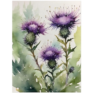 Thistle Watercolor Painting, Scottish Wildflowers Art Print, Purple Flowers Wall Art, Floral Decor, Wildflower Landscape Poster