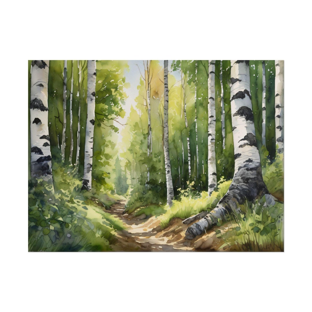 Forest Path Watercolor Art Print, Birch & Aspen Trees Painting, Nature ...