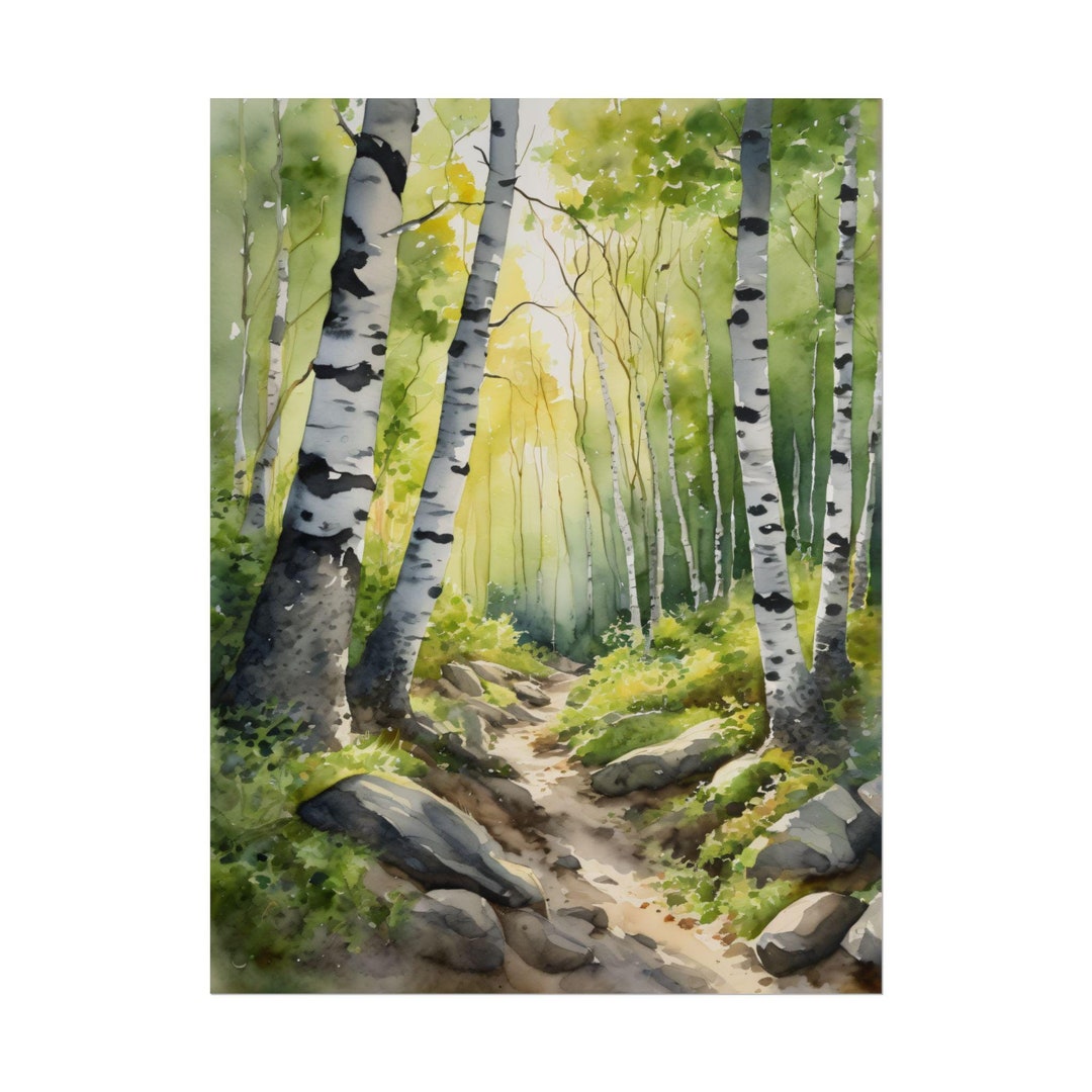 Forest Path Watercolor Art Print, Birch & Aspen Trees Painting, Nature ...