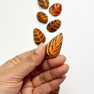 Zero-Waste Sensoryczne żetony do ulotek / Zabawki w 100% biodegradowalne / Gra liczenia / Montessori / Eco Natural Play / Luźne części do zabawy